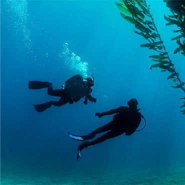 Deep Diver - PADI elearning