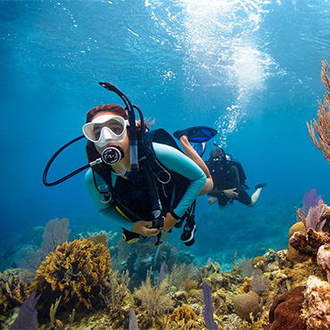 Open Water Diver - PADI elearning