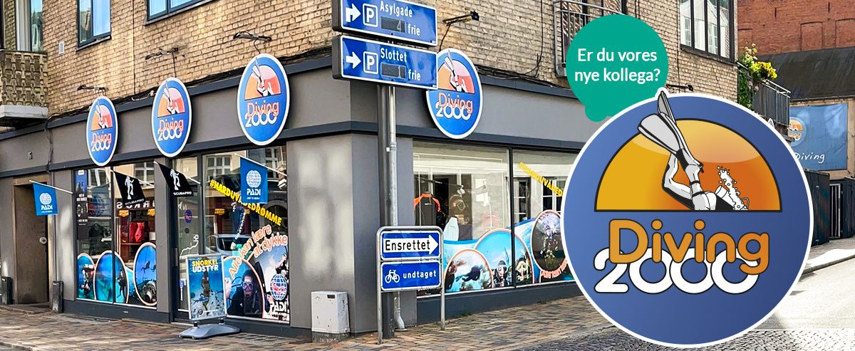 Job i Diving 2000 dykkerbutik
