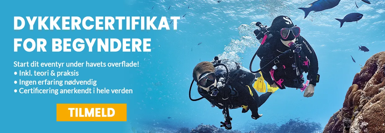 Begynder dykkercertifikat