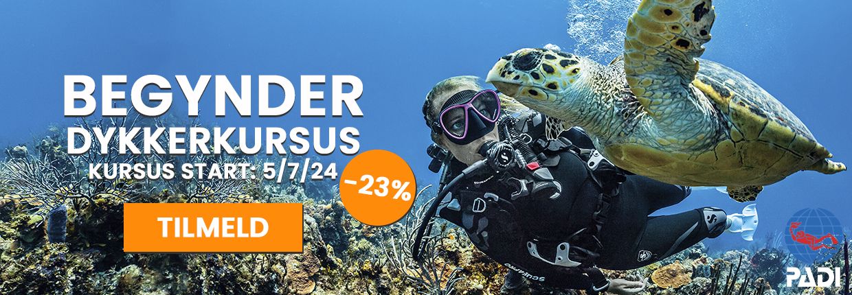 Dykkerkursus for begyndere - Spar 23%