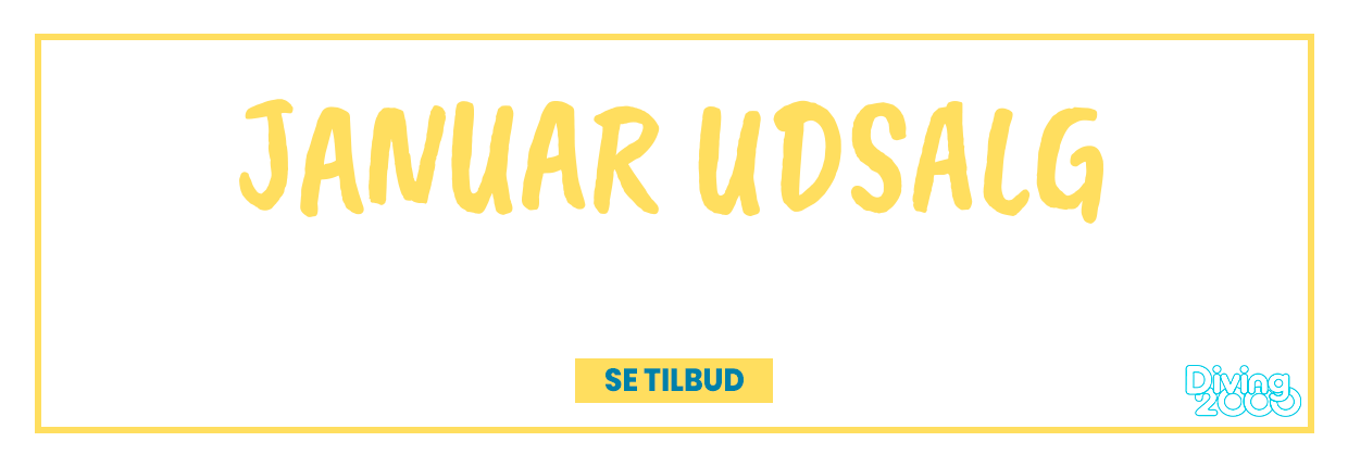 Januarudsalg 2025