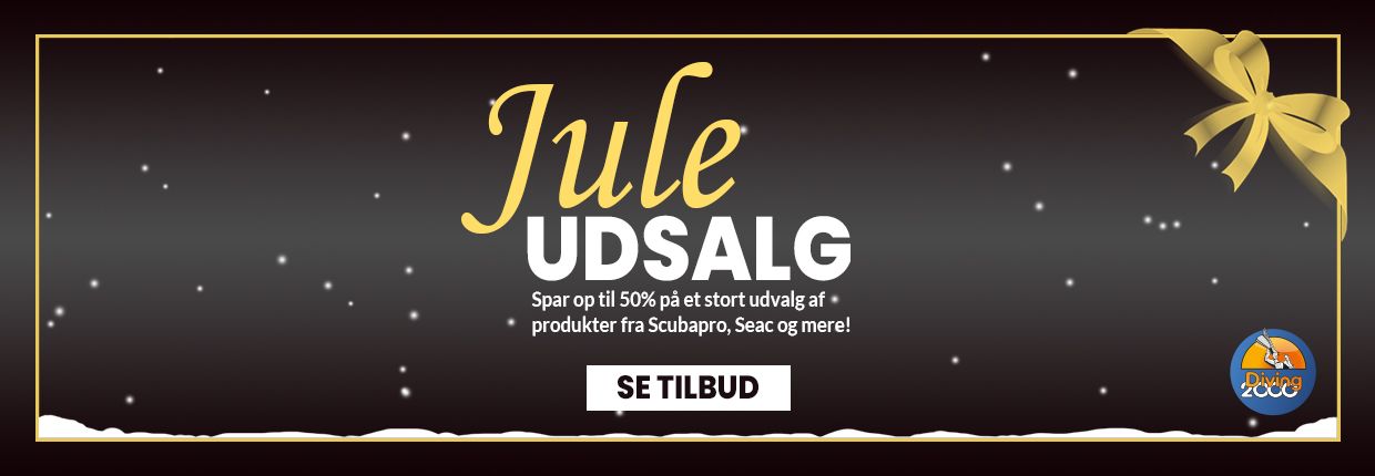 Juleudsalg 2025