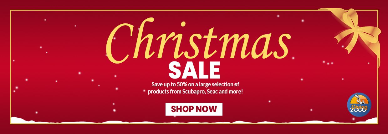 Christmas sale 2024