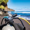 Garmin T2 transceiver
