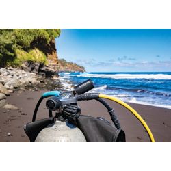 Garmin T2 transceiver