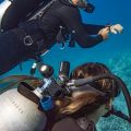 Garmin T2 transceiver
