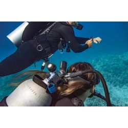 Garmin T2 transceiver