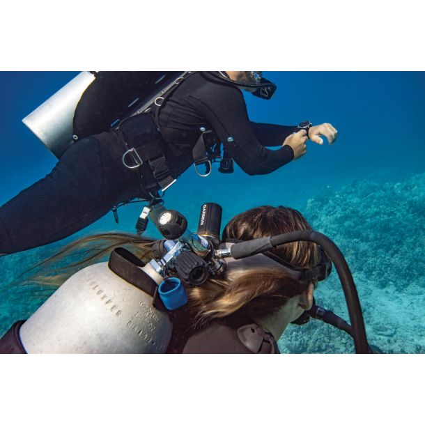 Garmin T2 transceiver