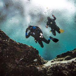 S-Tek Monoprene Quick-Release Blylomme