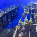 F�llestur til Egypten, Oktober 2020