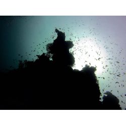 Fllestur til Egypten, Februar 2020