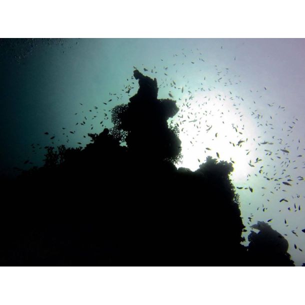 F�llestur til Egypten, Oktober 2020