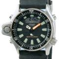 Citizen Watch Strap Black 24/20mm