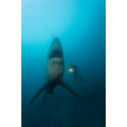 Hemmoor Kreidesee 31 Maj - 2 Juni 2024