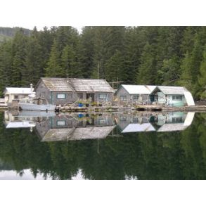 Vancouver island - Canada