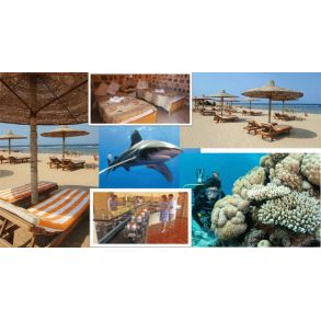 Fllesrejse til Al- Quseir