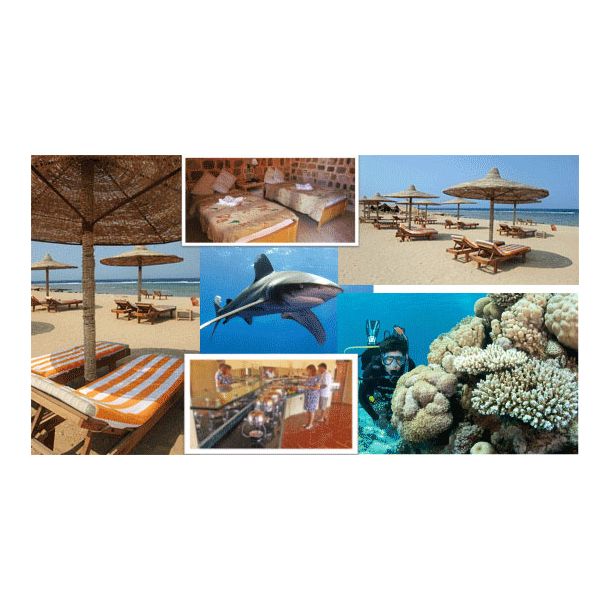 F�llesrejse til Al- Quseir