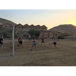 Fllestur til Egypten, Februar 2020