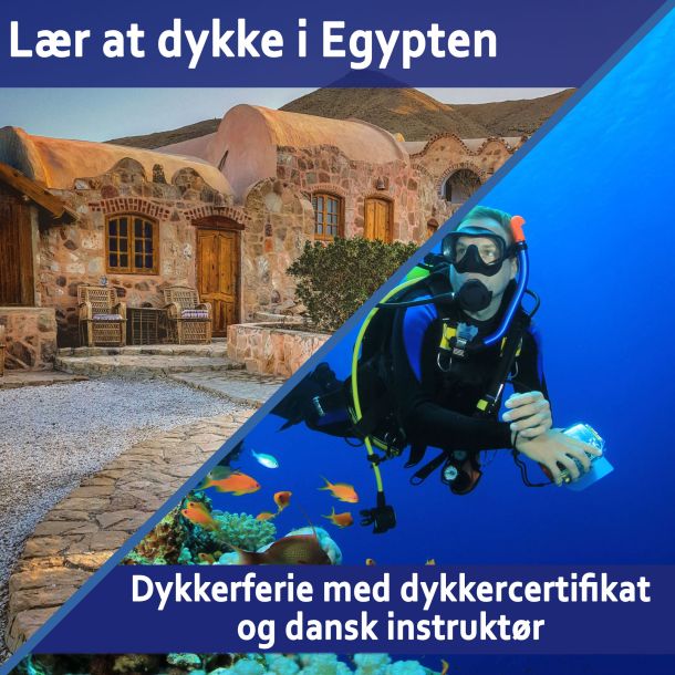 Ultimativ Dykkerferie: Egypten & PADI Open Water Kursus 2025