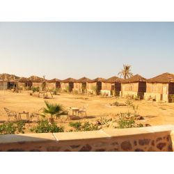 Fllestur til Egypten, Februar 2020