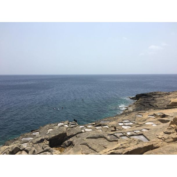 Fllestur til Gozo, April 2020