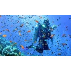 F�llestur til Gozo, 15-22. maj 2016