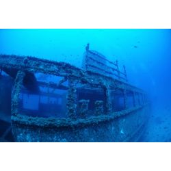 F�llestur til Gozo, April 2020