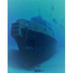 F�llestur til Gozo, April 2020