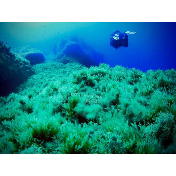 F�llestur til Gozo, April 2020