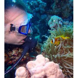 Ultimativ Dykkerferie: Egypten &amp; PADI Open Water Kursus 2025