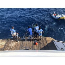 Liveaboard R�dehavet, November 2023 - Simply the Best