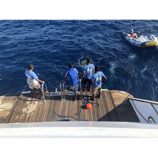 Liveaboard R�dehavet, November 2023 - Simply the Best