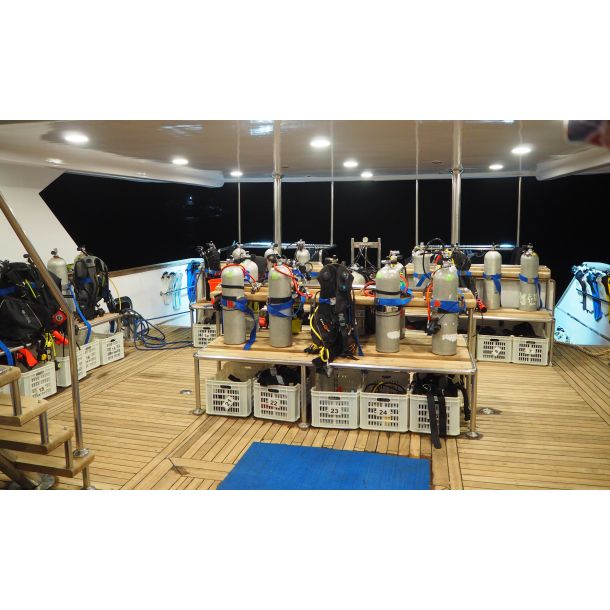 Liveaboard R�dehavet, November 2023 - Simply the Best