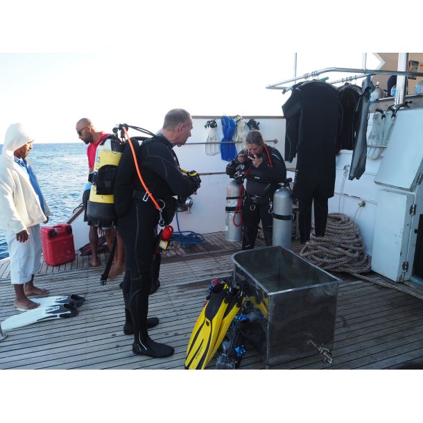 Liveaboard R�dehavet, November 2023 - Simply the Best