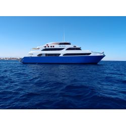 Liveaboard R�dehavet, November 2023 - Simply the Best