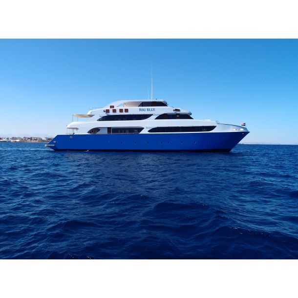 Liveaboard R�dehavet, November 2023 - Simply the Best