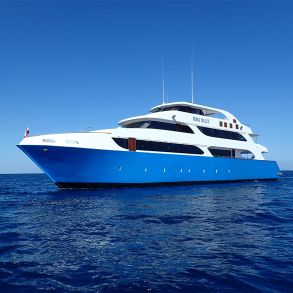 Liveaboard R�dehavet, November 2023 - Simply the Best