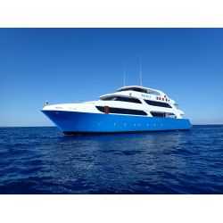 Liveaboard R�dehavet, dec 2022 - Simply the Best