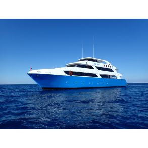 Liveaboard Rdehavet, dec 2022 - Simply the Best