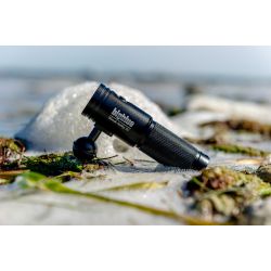 Bigblue AL1800 Tricolor Black Molly IV