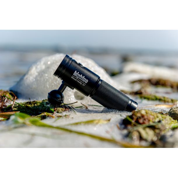 Bigblue AL1800 Tricolor Black Molly IV