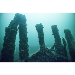 F�llestur til Bornholm