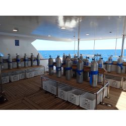 Liveaboard R�dehavet, November 2023 - Simply the Best