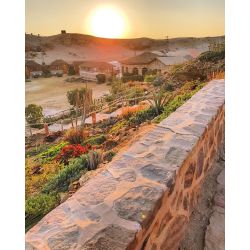 Dykkerrejse til Egypten, 16-23 Februar 2025