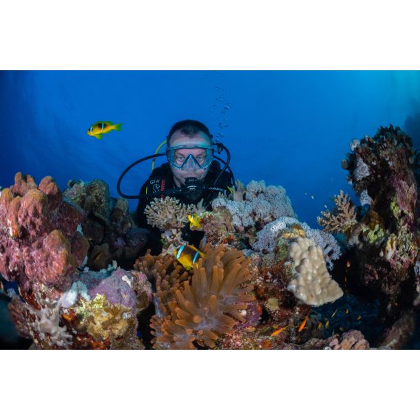 Liveaboard R�dehavet, November 2023 - Simply the Best