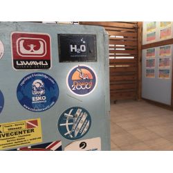 Fllestur til Egypten, Februar 2020