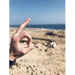 Fllestur til Egypten, Februar 2020