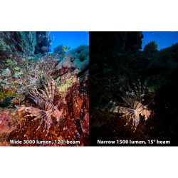 Sea Dragon 3000SF Pro Dual Beam Lygtest