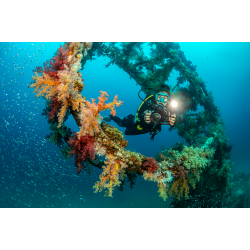 SeaLife Ultra Wide Angle Dome Lens